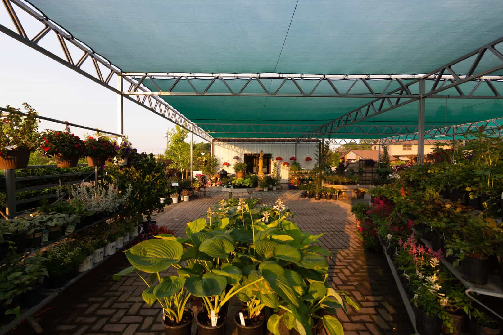 Annual Perennial Area 3