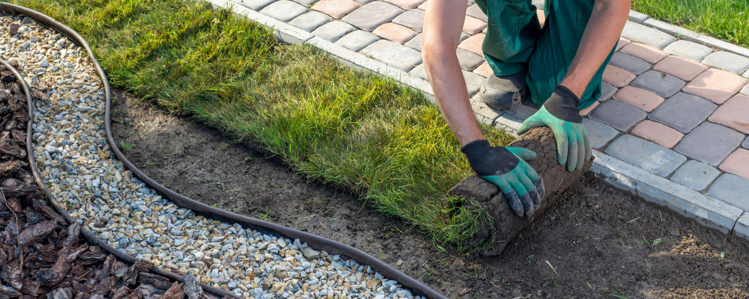 Backyard Landscaping Ideas Algonquin