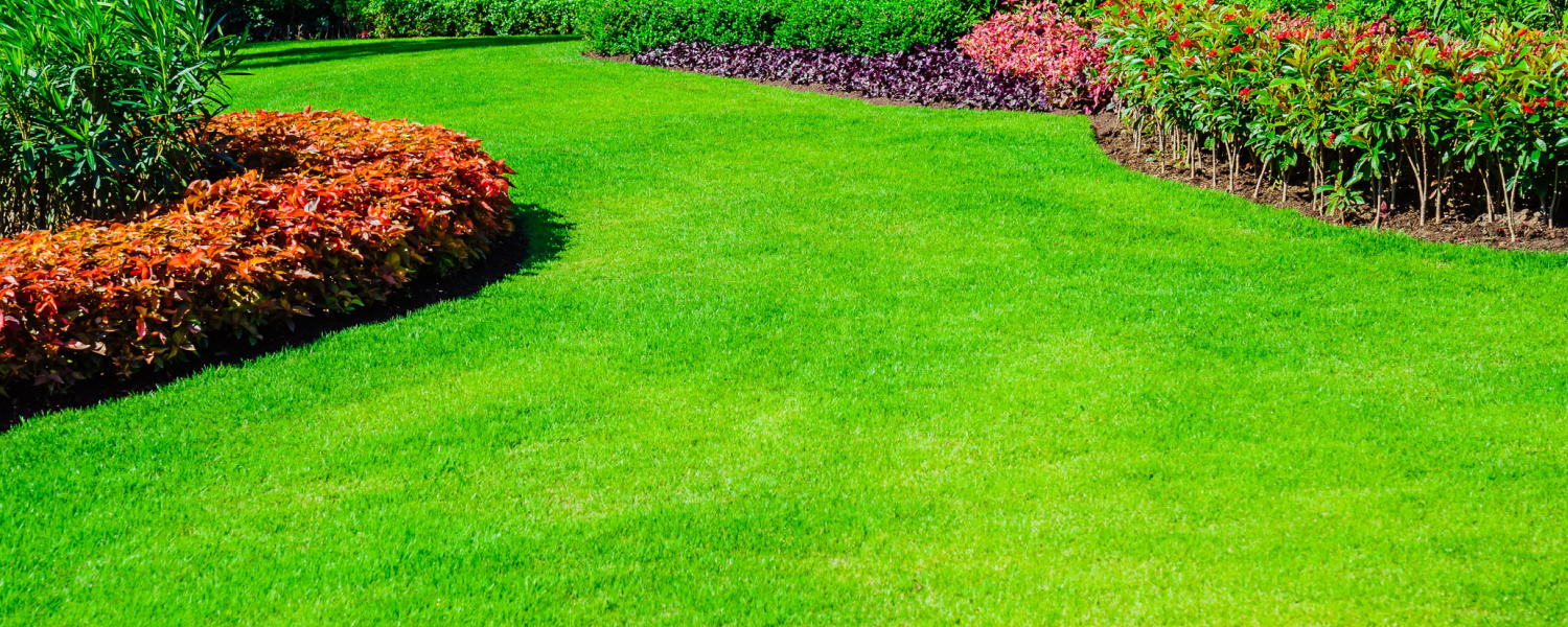 Creative Algonquin Landscaping Ideas