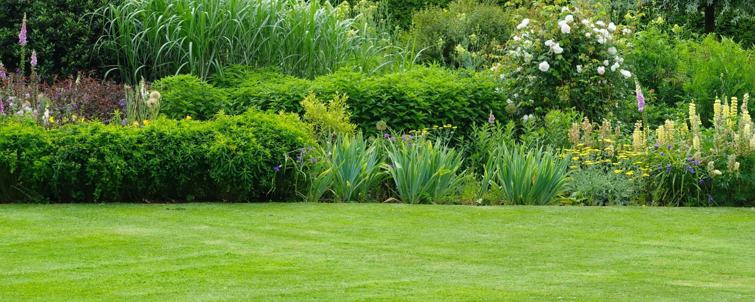 Landscape Garden Ideas