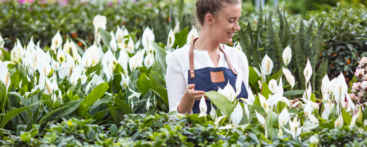 Landscape Nursery Services