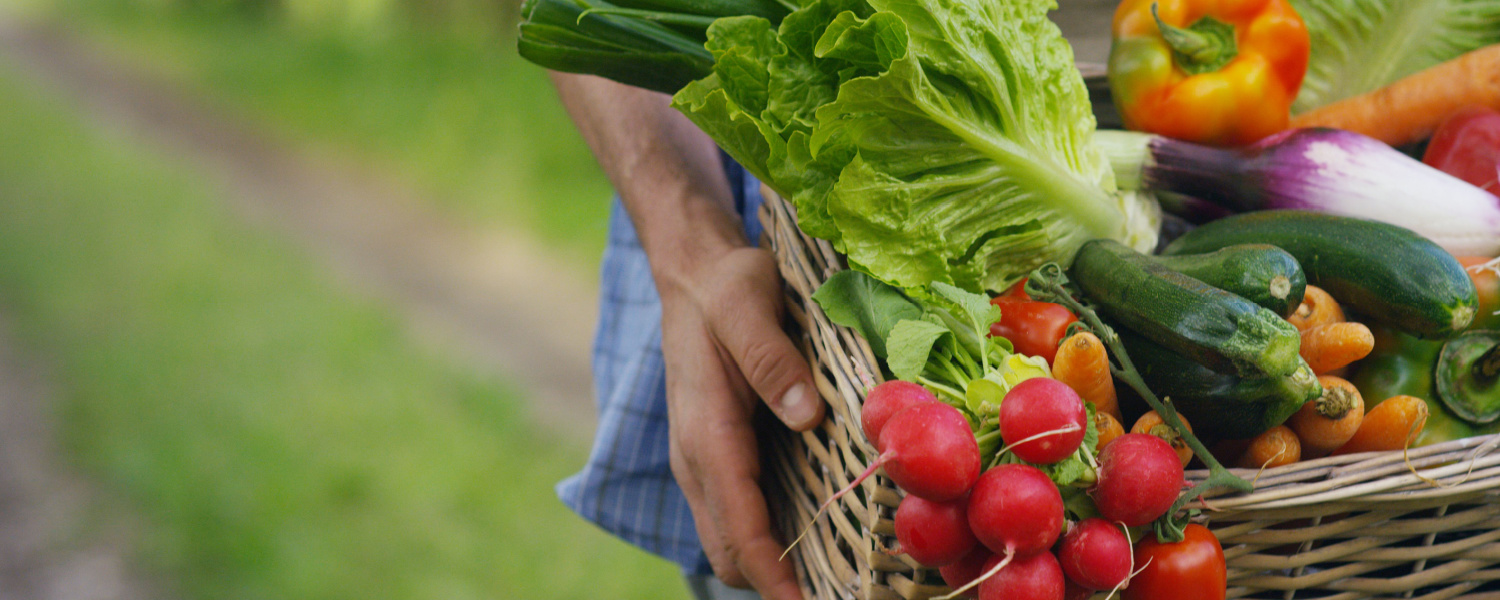 Explore McHenry IL Nursery