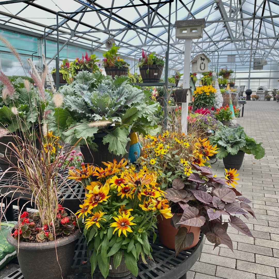 Planters in Greenhouse