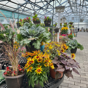 Planters in Greenhouse (1)