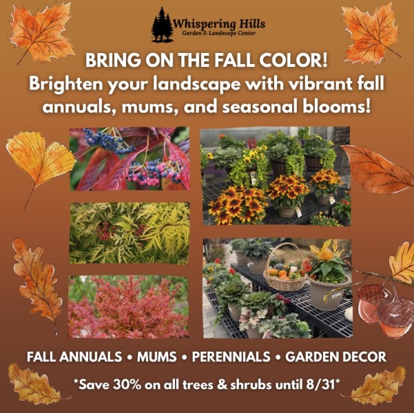 Fall Nursery Plants