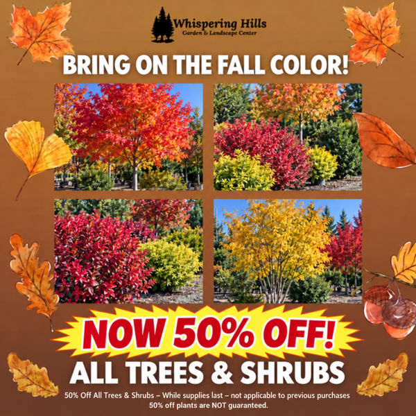 Tree Shrub Discounts