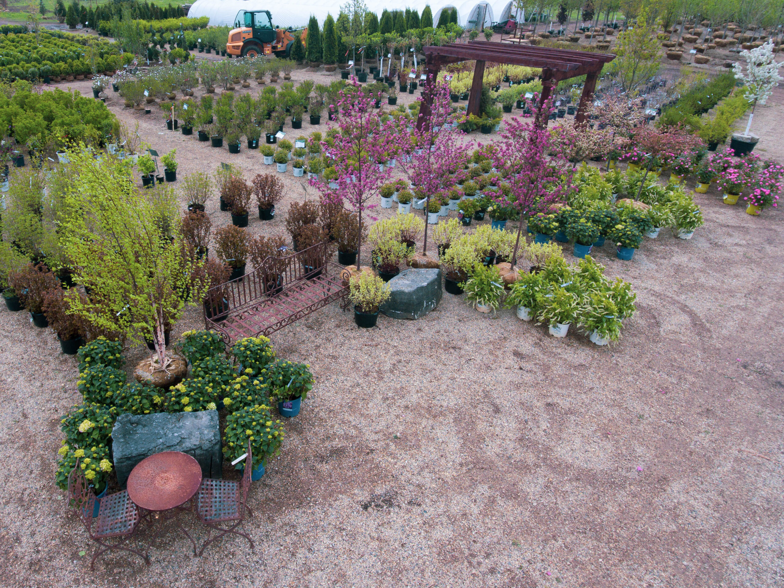 Yard 2